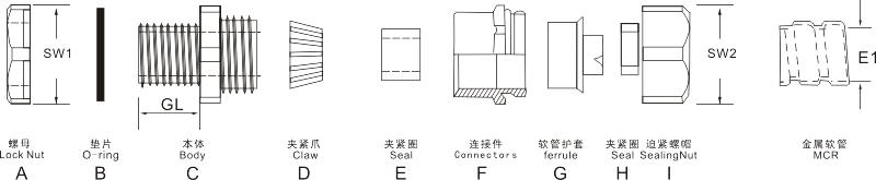 圖片關鍵詞